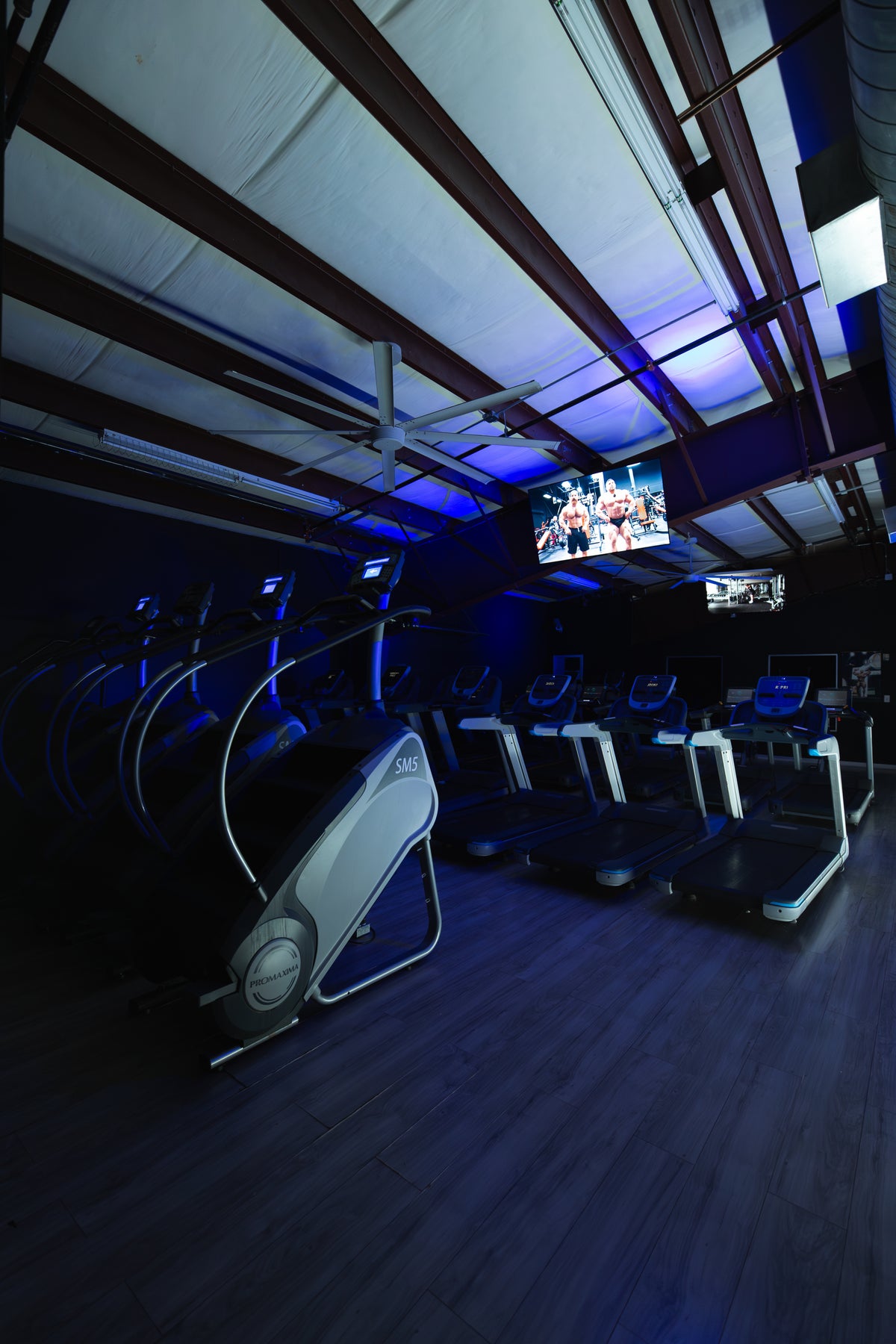 Cardio Room at Roman Empire Gym in League City, TX