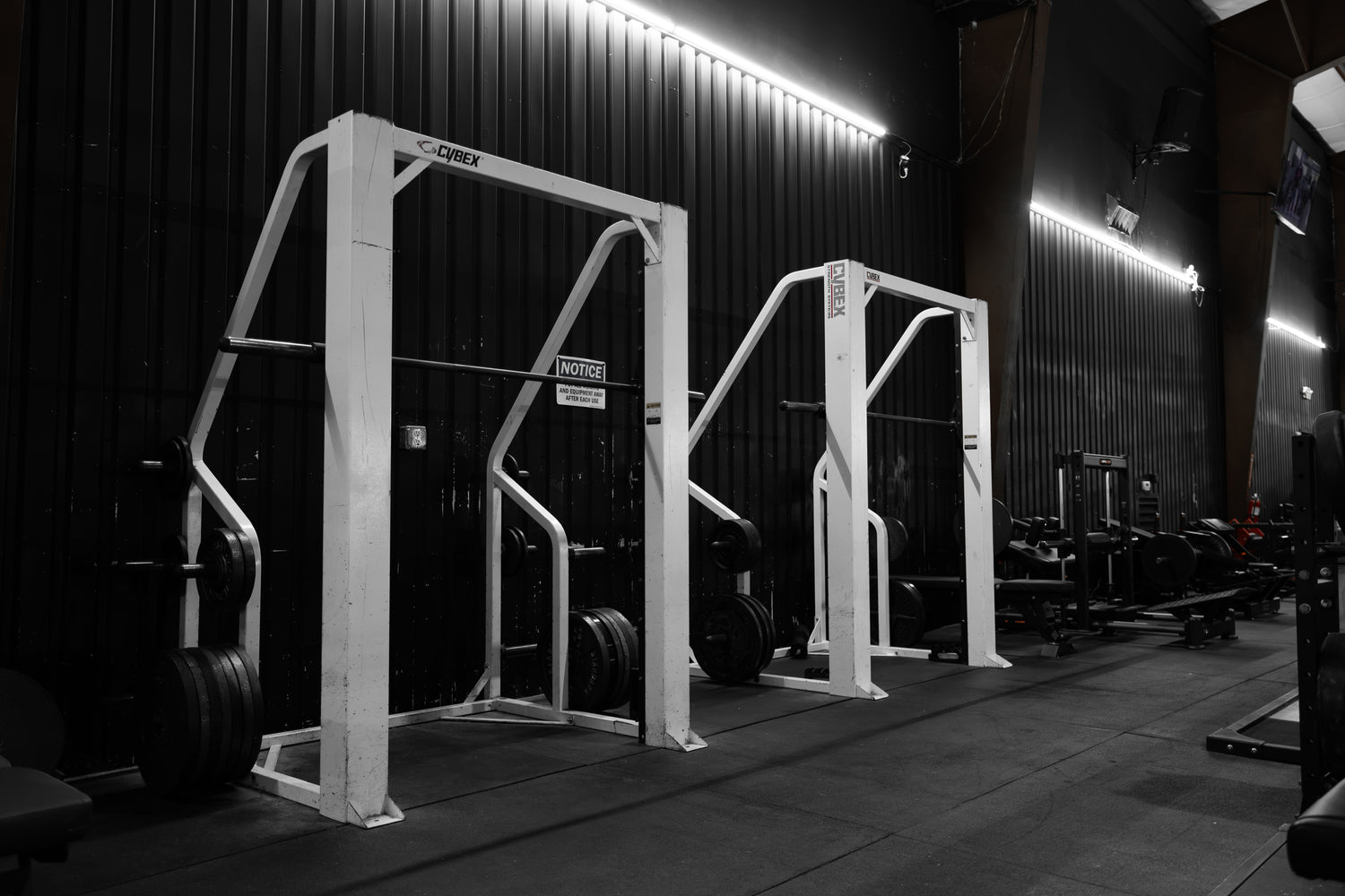 Roman Empire Gym Cybex Smith Machines