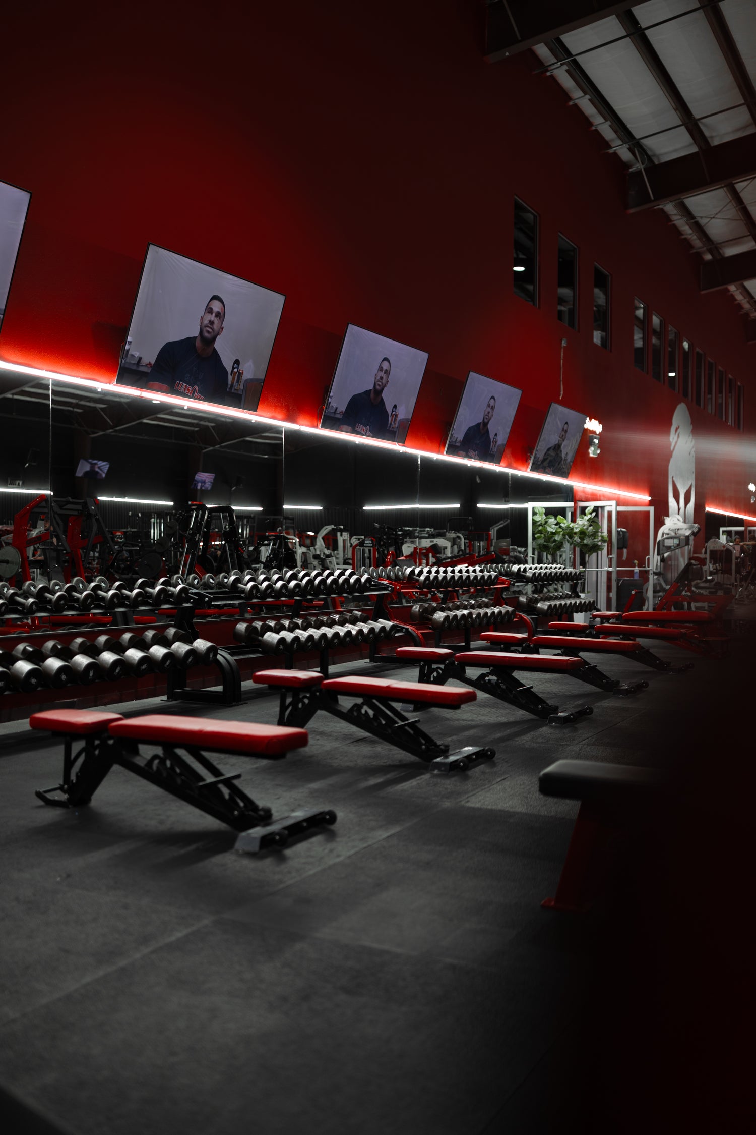 Roman Empire Gym Dumbbell Section