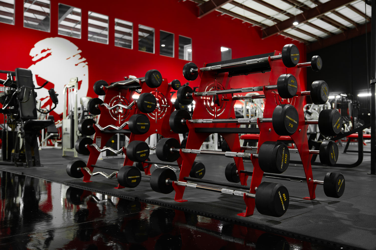 Roman Empire Gym Arsenal Strength Fixed Barbells