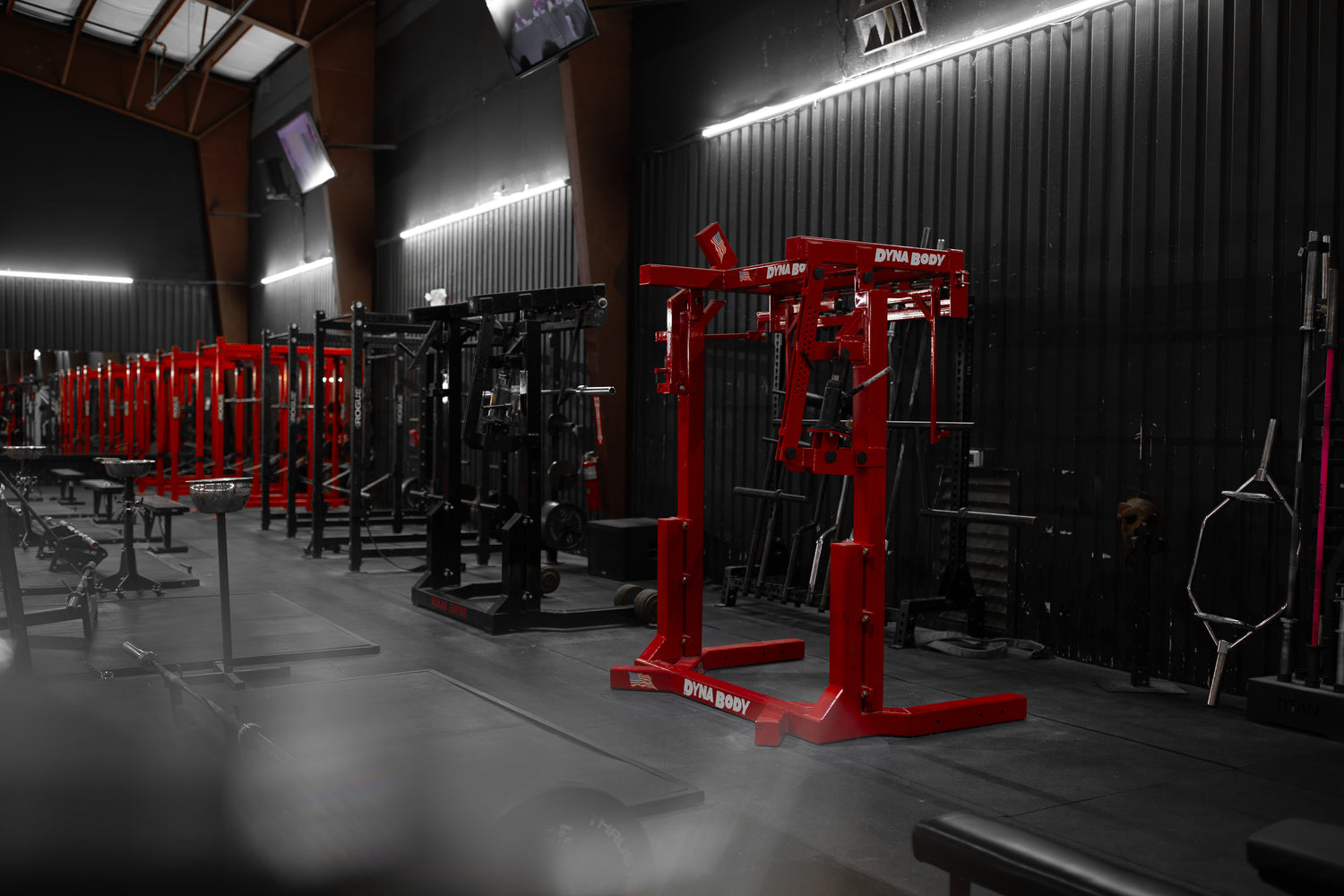 Roman Empire Gym Monolifts
