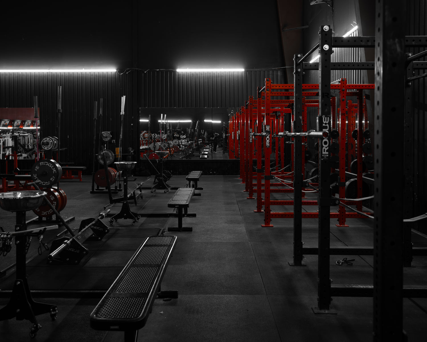 Roman Empire Gym Rogue Squat Racks