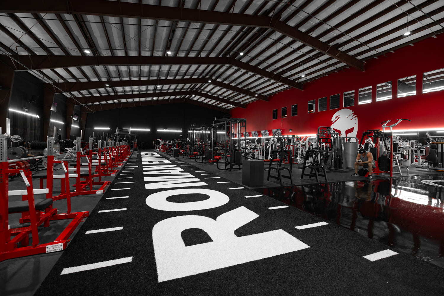 Roman Empire Gym Turf Section