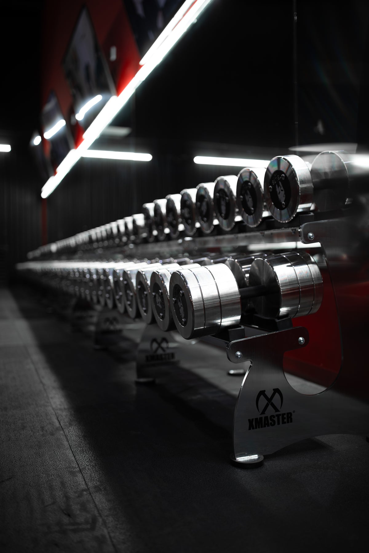 Dumbbell Section at Roman Empire Gym in League City, TX