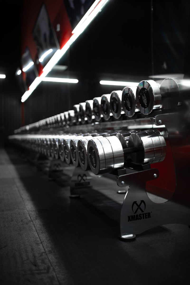 Dumbbell Section at Roman Empire Gym in League City, TX