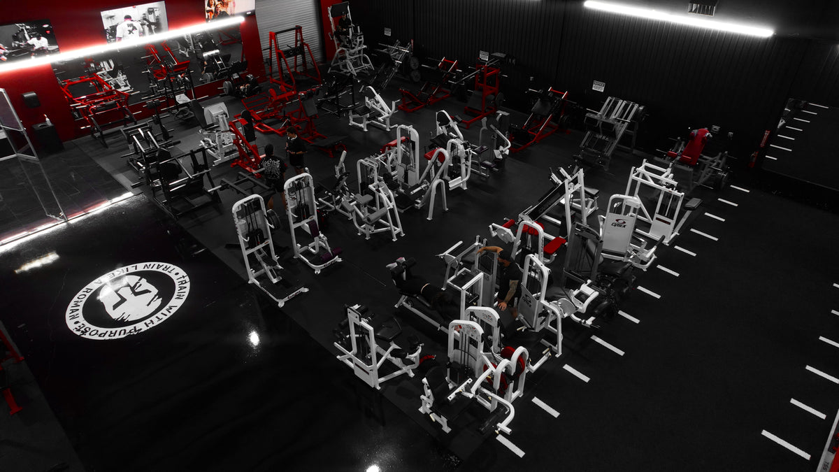 Leg Section at Roman Empire Gym in League City, TX