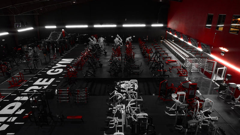 Plate Loaded Section at Roman Empire Gym in League City, TX