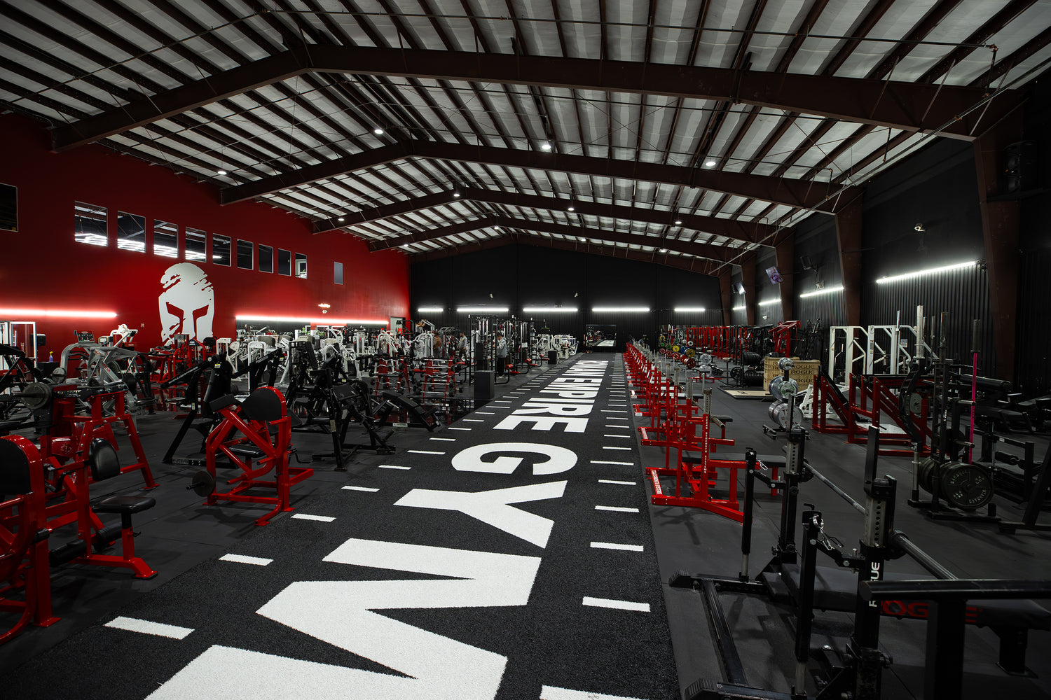 Roman Empire Gym Turf Section